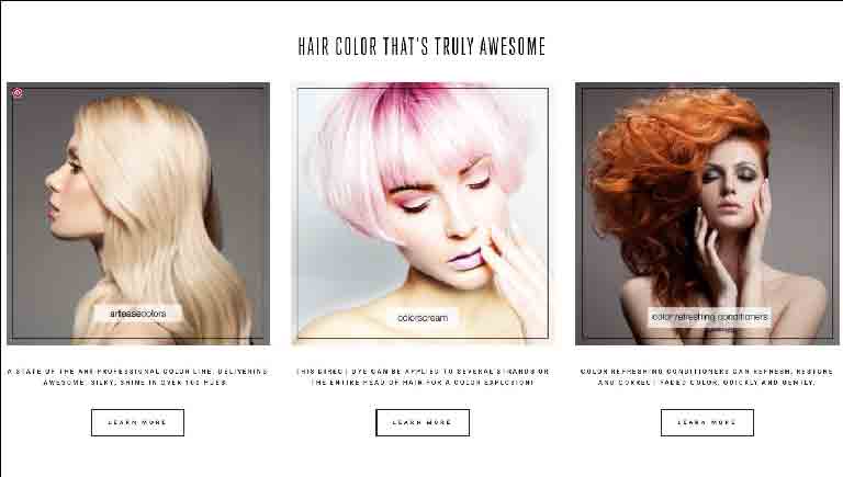 Artease Colors HAIRDRESSING, HAIR CUTTING, COLORING, CUSTOMER SERVICE AND RETAILING - Arteasecolors