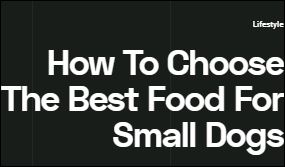 How To Choose The Best Food For Small Dogs
